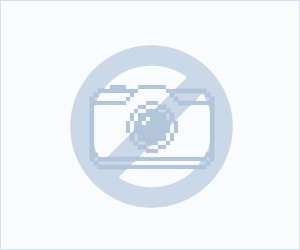 2016 BMW 5 Series M SPORT AUTO 520 D