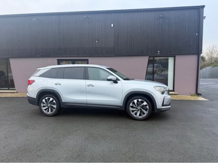 2024 Skoda Kodiaq SE L TDI S-A DSG €47,995