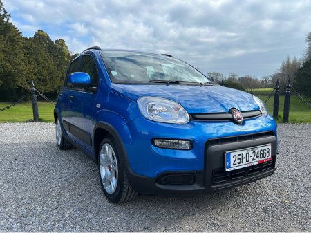 2025 Fiat Panda SORRY I'M NOW SOLD €14,999