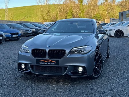 2016 BMW 5 Series 520d M Sport Auto €19,999