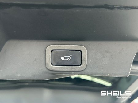 2020 Land Rover Range Rover 3L DIESEL *AUTOBIOGRAPHY SPEC* €53,950 thumbnail