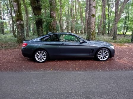 2017 BMW 4 Series 420i SE  2DR COUPE  AUTO 1 OWNER @ REDDY2DRIVE LTD €18,995