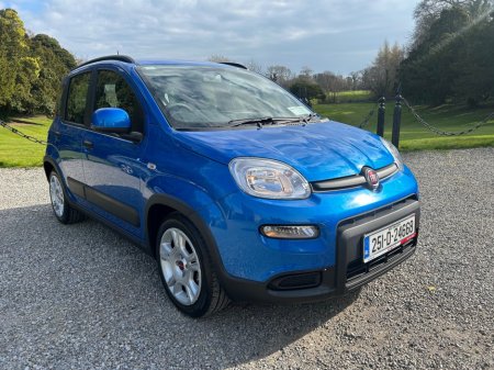 2025 Fiat Panda SORRY I'M NOW SOLD €14,999