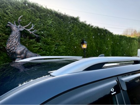 2023 Ssangyong Musso 2.2 DSL AT P/T 4WD 4DR A €33,950 thumbnail