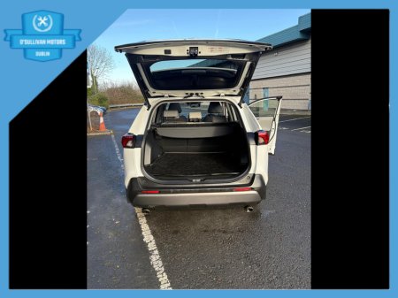 2020 Toyota Rav4 RAV4 HYBRID PLATINUM 2WD 4DR AUTO €28,999 thumbnail