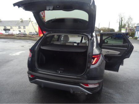 2022 Hyundai Tucson IX35 EXECUTIVE PLUS DIESEL 5 5DR €29,950 thumbnail