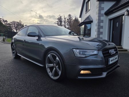 2013 Audi A5 2.0 TDI 177BHP S LINE SPORTBACK €8,950 thumbnail