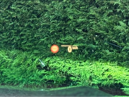 2022 BMW X5 3.0 XDRIVE 30D M SPORT 5SEATS 5DR €84,950 thumbnail