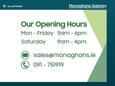 2025 Cupra Tavascan Endurance 4 (286hp) 77kWh | With Winter Pack - In Stock €45,186