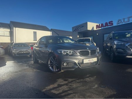 2018 BMW 2 Series 218I M SPORT ZEM2 2DR AUTO €18,950