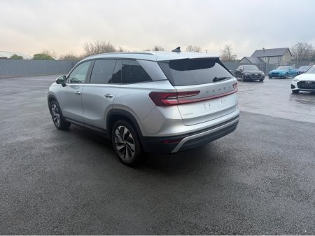 2024 Skoda Kodiaq SE L TDI S-A DSG €47,995