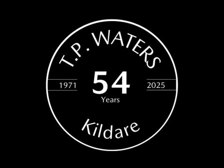 2018 Mazda Mazda2 DEMIO 1.3 AUTOMATIC - REVERSING CAMERA - FINANCE ARRANGED €13,950