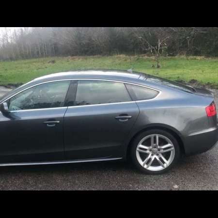 2016 Audi A5 SPORTBACK 2.0 TDI 150 S LINE 4DR €24,450 thumbnail