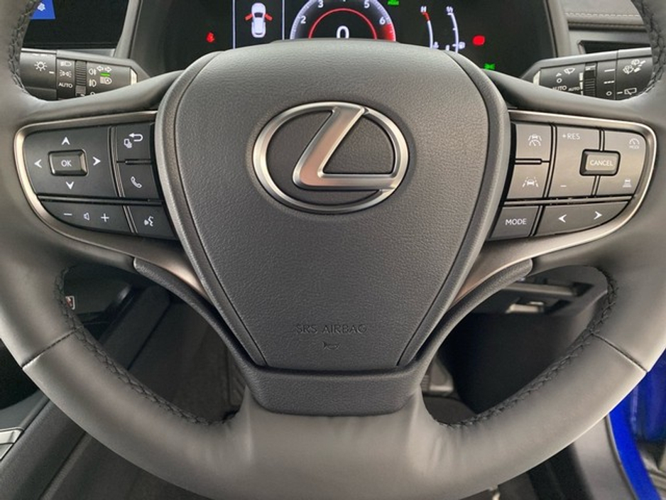 2025 Lexus UX 250 H F Sport Design €49,950