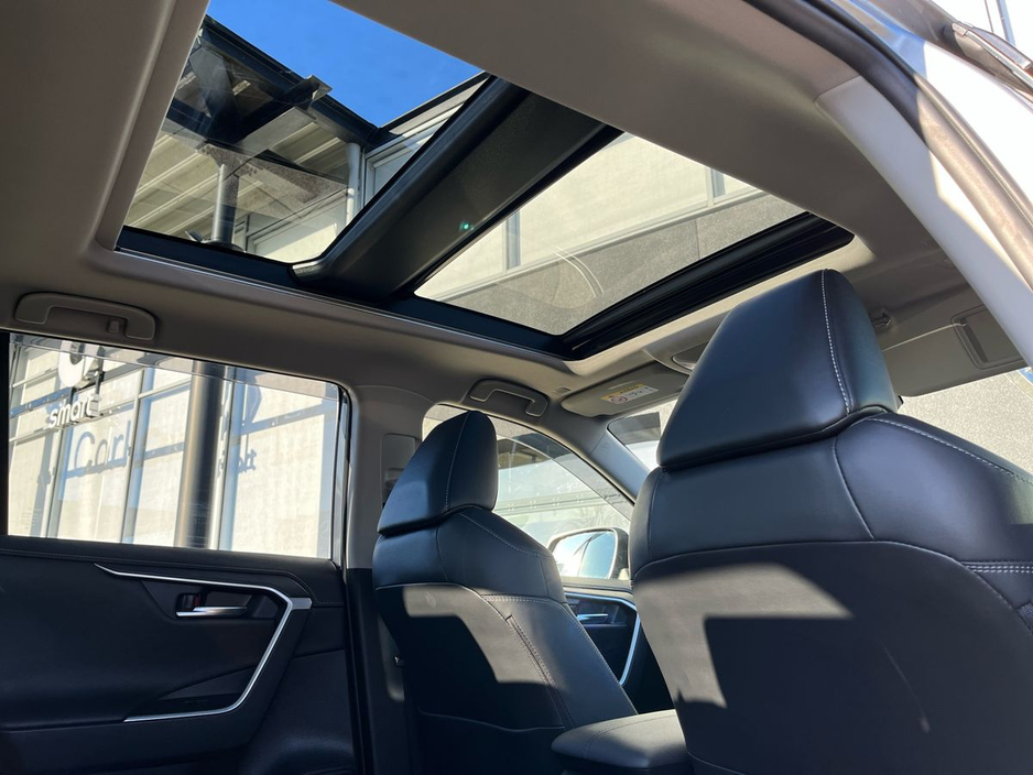 2023 Toyota Rav4 2.5 Hybrid AWD-i Platinum €44,950