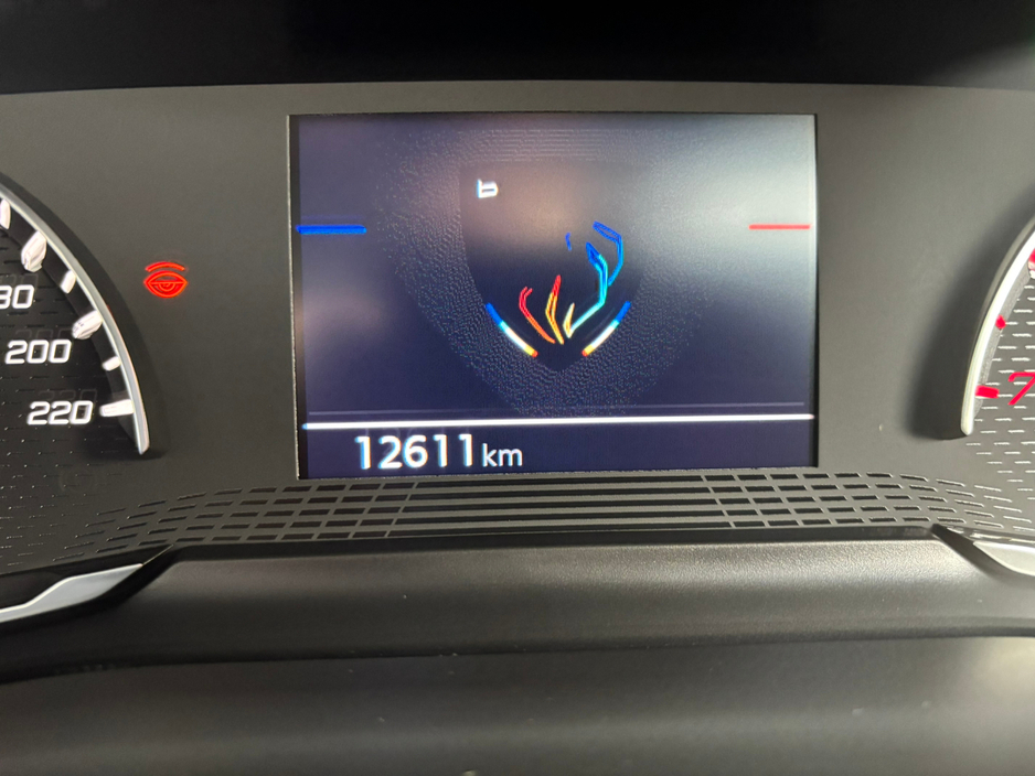 2024 Peugeot 208  €19,950