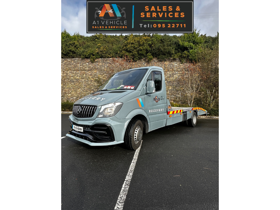 2017 Mercedes-Benz 1800 Series SPRINTER 516 CDI 2DR €28,990
