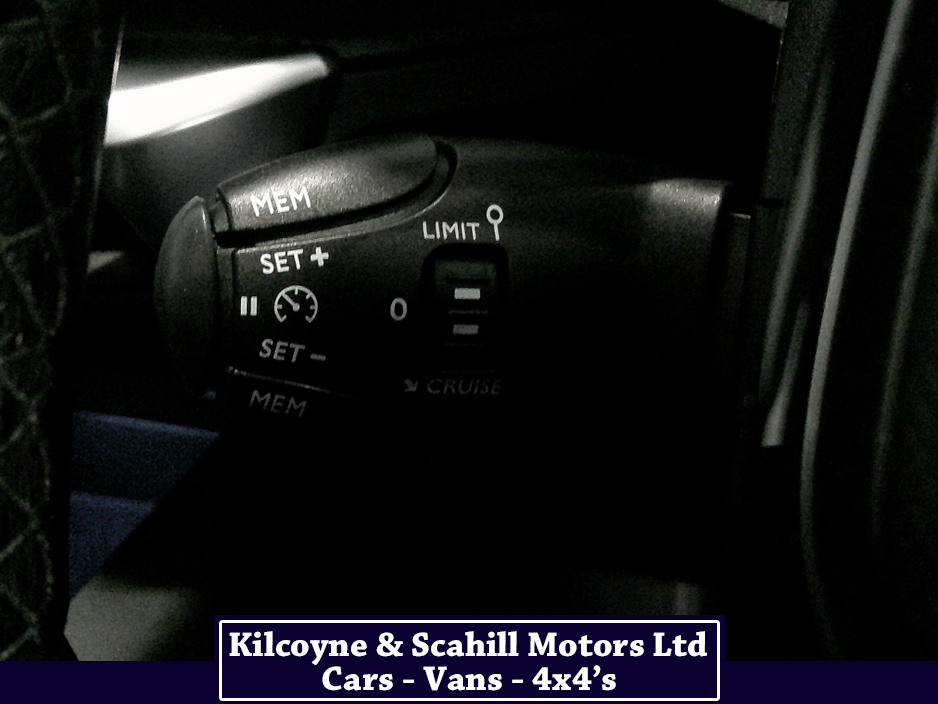 2019 Peugeot 3008 ACTIVE BLUEHDI S/S A €21,950