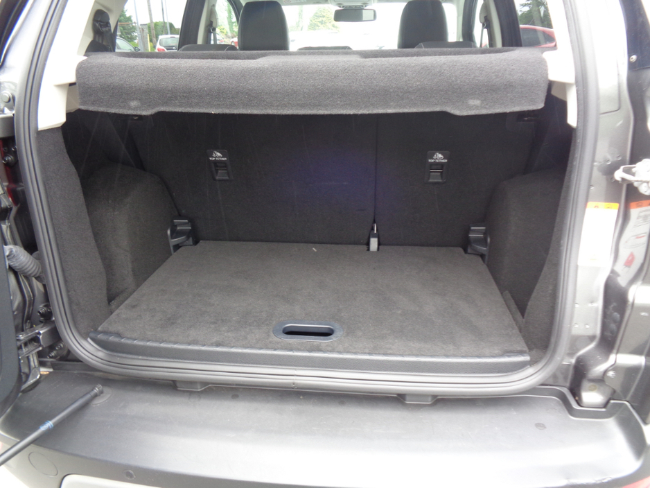 2019 Ford Ecosport Titanium 1.5TD 100PS M6 4DR €22,900