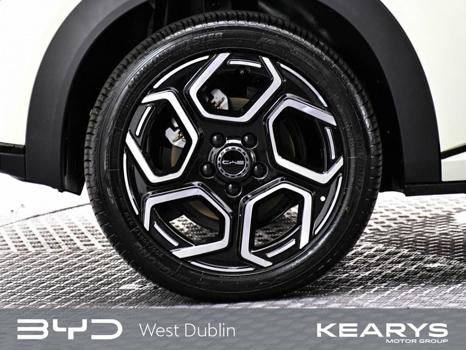 2026 BYD Dolphin Order your 261 Dolphin Comfort Cream today!