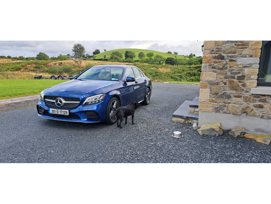 2020 Mercedes-Benz C Class 180 D 4DR €23,950