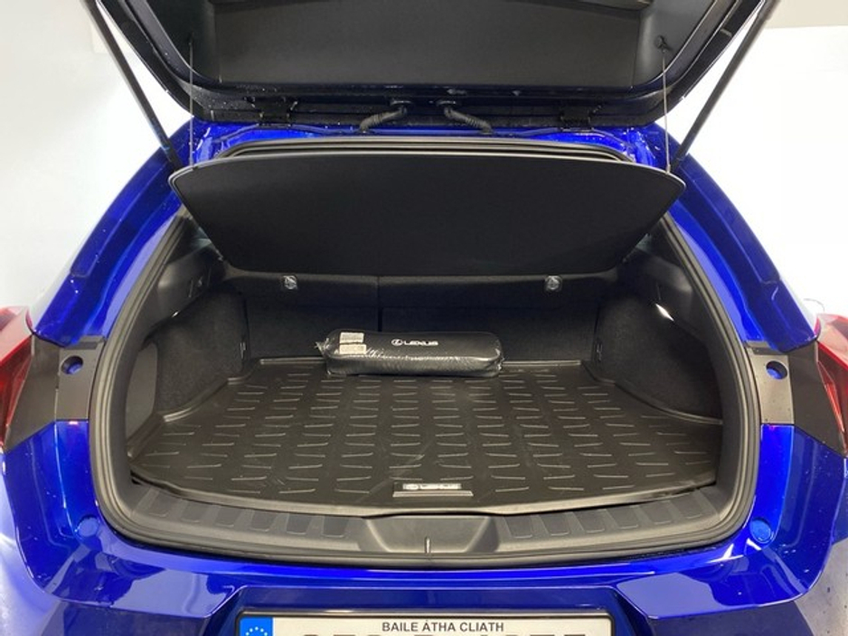 2025 Lexus UX 250 H F Sport Design €49,950