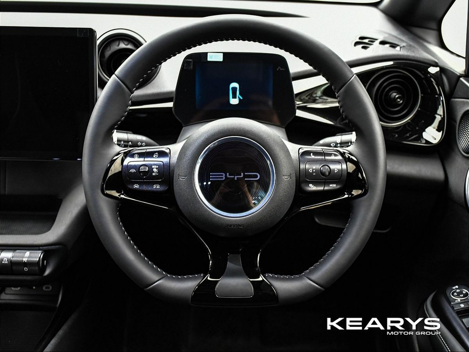 2026 BYD Dolphin Order your 261 Dolphin Comfort Cream today!