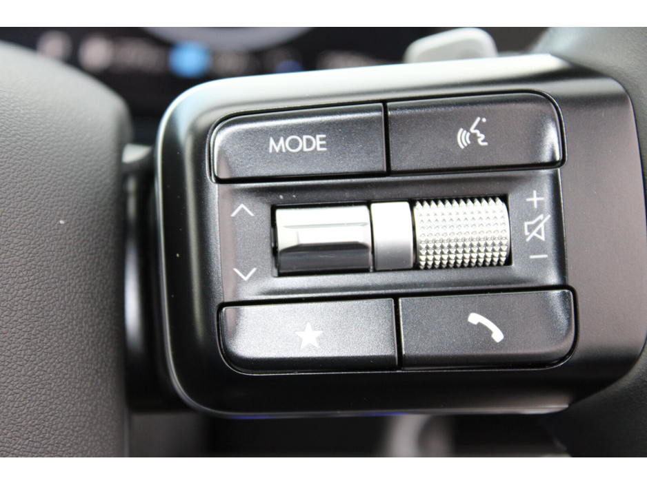 2025 Hyundai Ioniq 9 RWD standard (Long Range) Platinum €75,950